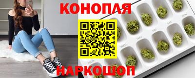прущие грибы Кунгур