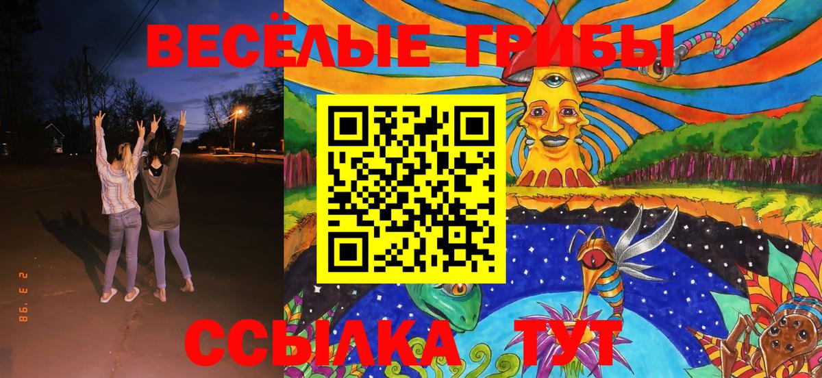 Псилоцибиновые грибы Magic Shrooms Горно-Алтайск