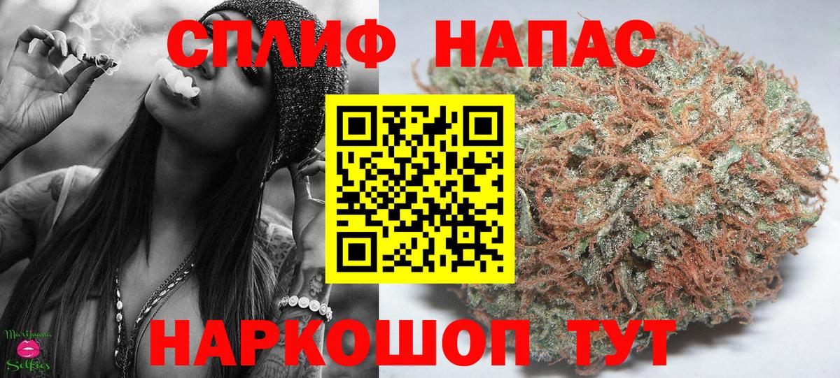 Каннабис White Widow Горно-Алтайск
